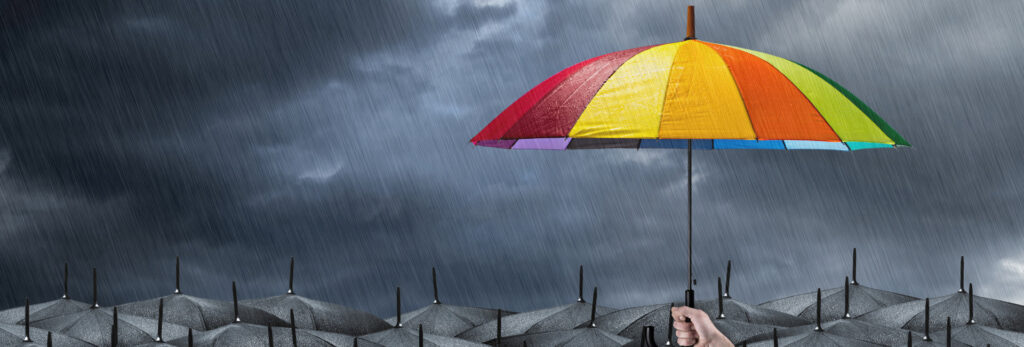 PFP Tax Investigations